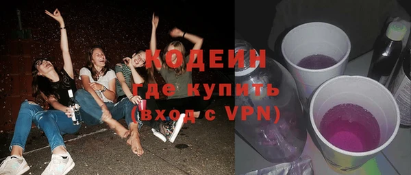 хмурый Нея