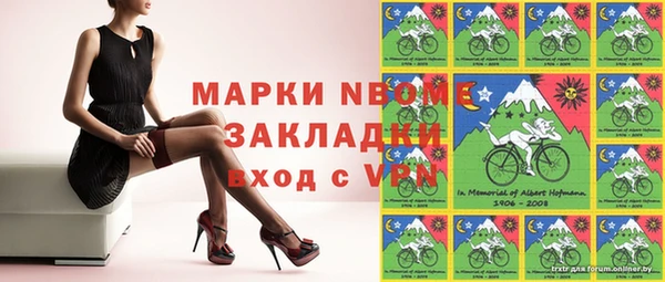 хмурый Нея