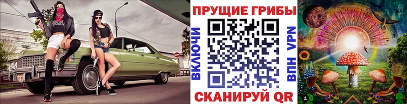 Псилоцибиновые грибы Psilocybine cubensis  гидра вход  Кадников  хочу  