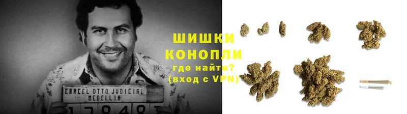 МАРИХУАНА SATIVA & INDICA  дарк нет наркотические препараты  Кадников 